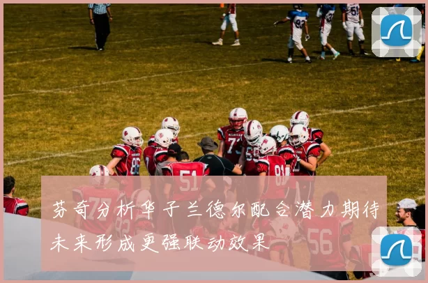 芬奇分析华子兰德尔配合潜力期待未来形成更强联动效果